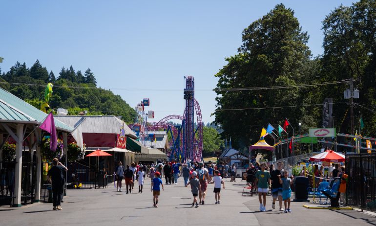 a crowd of people walking down the midway in an amusement park full of rides
