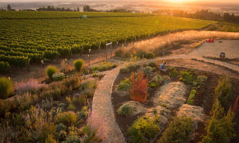 Brooks Winery garden and vineyard landscape