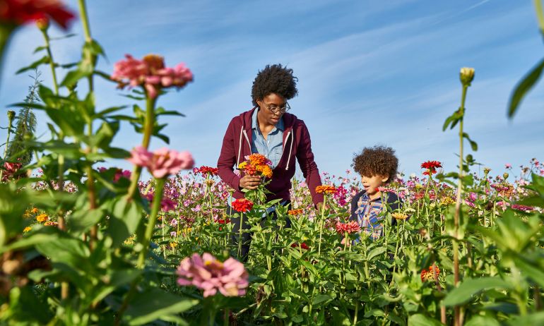 mother and child walking through a field of wildflowers