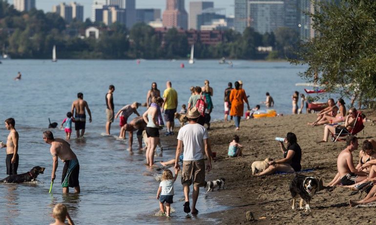 families gathered at Willamette River beach