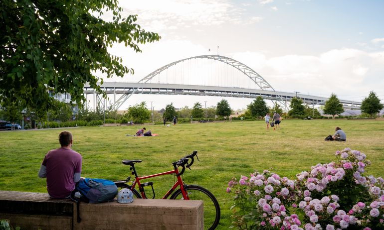 man sits facing Fremont Bridge next to pink roses in front of a big grassy field