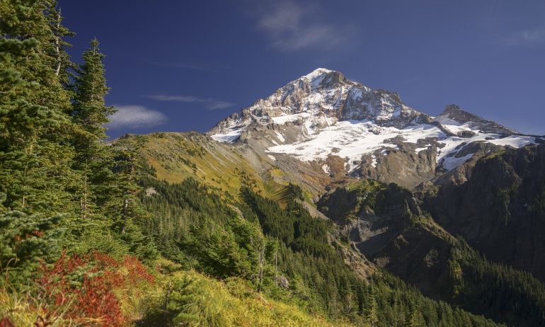 different shades of greens in brush and conifer trees fill the bottom of the frame and get more sparse to reveal a rocky mountain top with a little snow cover