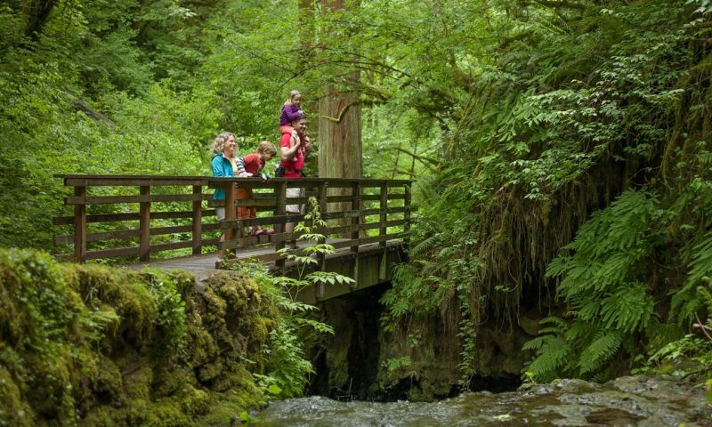 Forest Park of Portland