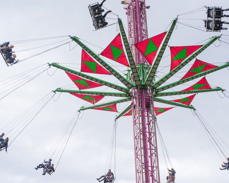 A captivating art installation at Ava Festival 2026