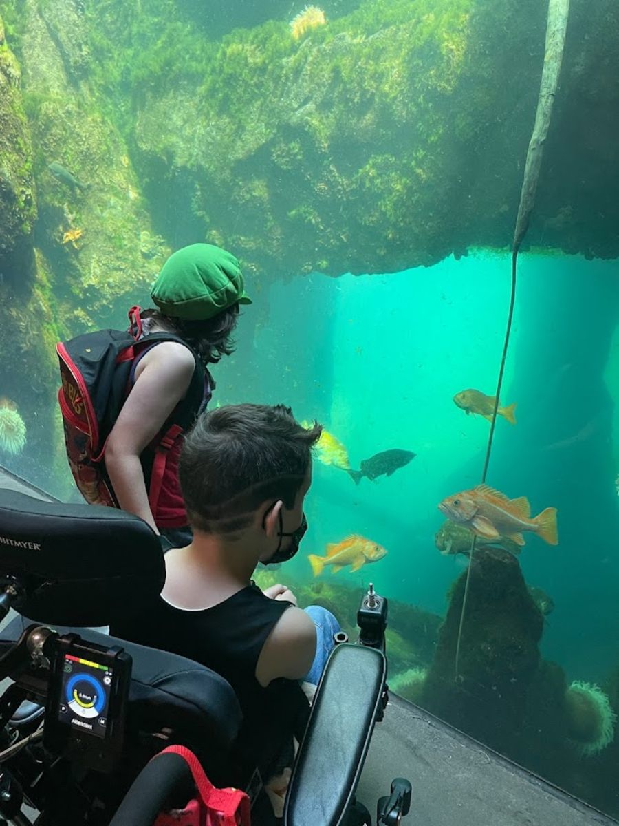 two children, one in a wheelchair, observe fish in an aquarium