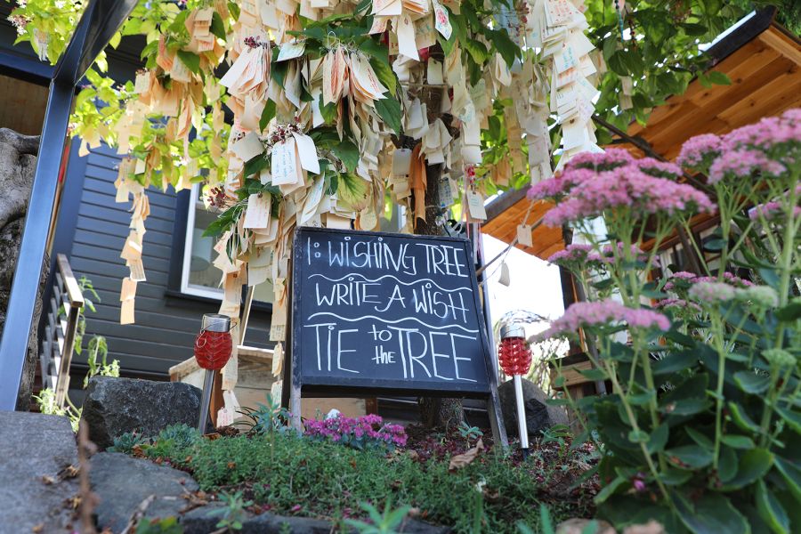 paper notes are tied to a tree with a sign underneath saying "wishing tree, write a wish tie to tree"