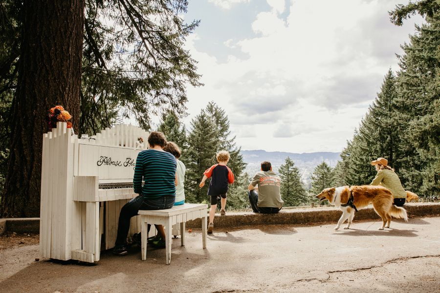 family at mount tabor park plays piano and looks at view with dogs