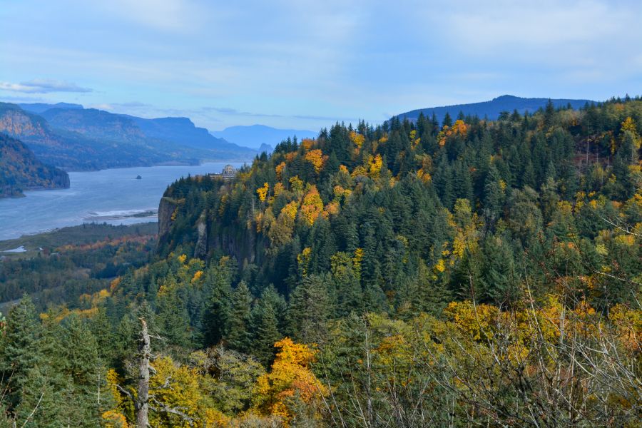 fall colors peek through the evergreen hillsides surrounding the Columbia River Gorge