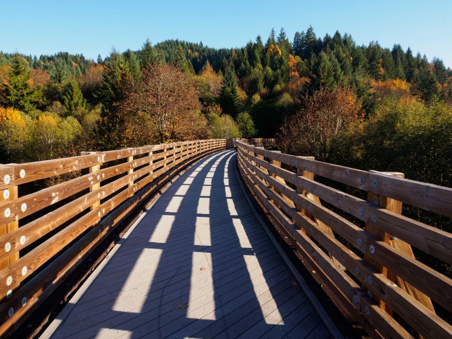 a pathway with railings in nature