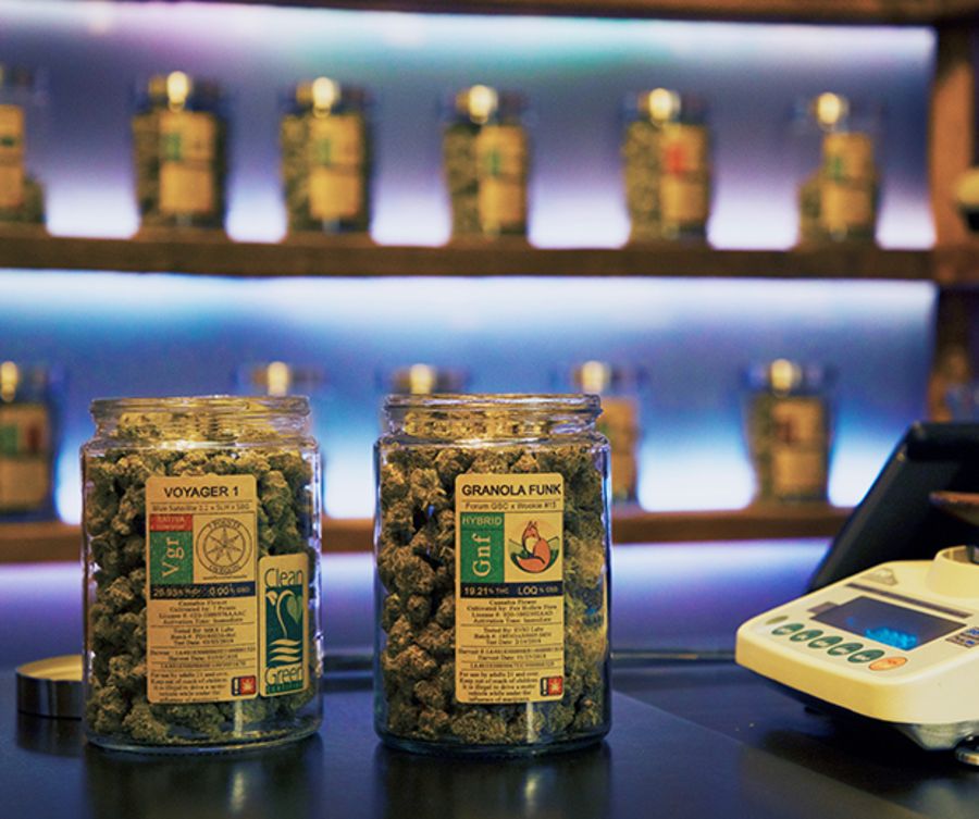 jars full of cannabis on display on shelves