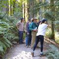 Event Photo: Free Public Tours of Hoyt Arboretum