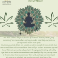 Event Photo: Cannabis-centric Yoga
