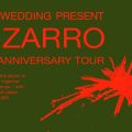 Event Photo: The Wedding Present