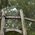 Event Photo: Portland Ghosts: Poltergeists and Psychopaths