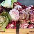 Event Photo: Montavilla Farmers Market