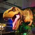 Event Photo: Jurassic World by Brickman
