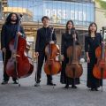 Event Photo: Metropolitan Youth Symphony: Esperanza Spalding 
