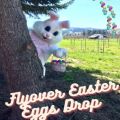 Flyover Easter Eggs Drop