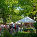Camas Plant and Garden Fair