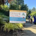 Montavilla Farmers Market Thursdays on the Plaza