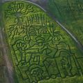 Corn Maze at Topaz Farm