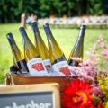 Dinner in the Field at Christopher Bridge Winery w/ MoonRidge Farms