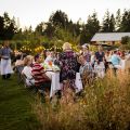 Dinner in the Field at Terra Vina Wines w/ Nottinghamshire Farms