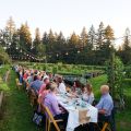 Dinner in the Field at Fiala Farms w/ Knudsen and Double Circle Spirits
