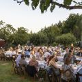 Dinner in the Field at The Four Graces Winery