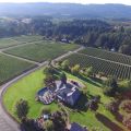 Dinner in the Field at Blakeslee Vineyard Estate