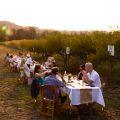 Dinner in the Field at Douglas Farm w/ Laurel Ridge and Coin Toss Brewing