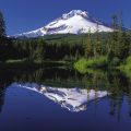 Full Day Gorge Waterfalls and Mt. Hood Tour from Portland