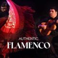  Authentic Flamenco Presents: Ricardo Fernández del Moral