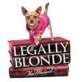 Legally Blonde The Musical