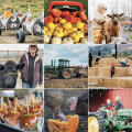 Fall Harvest Festival