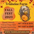 Triskelee Farm Fall Fest