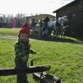 Christmas in the Country