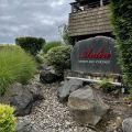 Concerts in the Vineyard