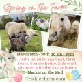 Spring On The Farm