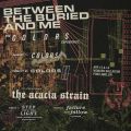 Between the Buried and Me