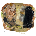 Matrilineal Memory, a Solo Exhibition by Mikaela Shafer