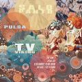 MirrorEye Preservation Society Presents: Salo Panto with Pusla and TV Viking