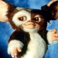 Gremlins w/ Embroidery by Soothe Folk // NIGHT OF 1000 Corey Feldmans