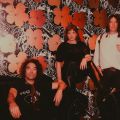The Dandy Warhols