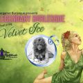 Legendary Burlesque featuring Velvet Ice