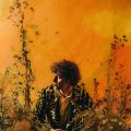 Cosmo Sheldrake
