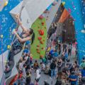 Climb for Free