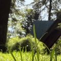 Touch Grass