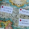 Event Photo: Map and Compass Orienteering: Staying Found
