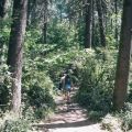 people hiking on a trail through woods